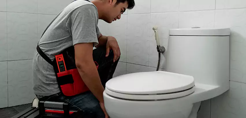 Toilet Repair in Manorville
