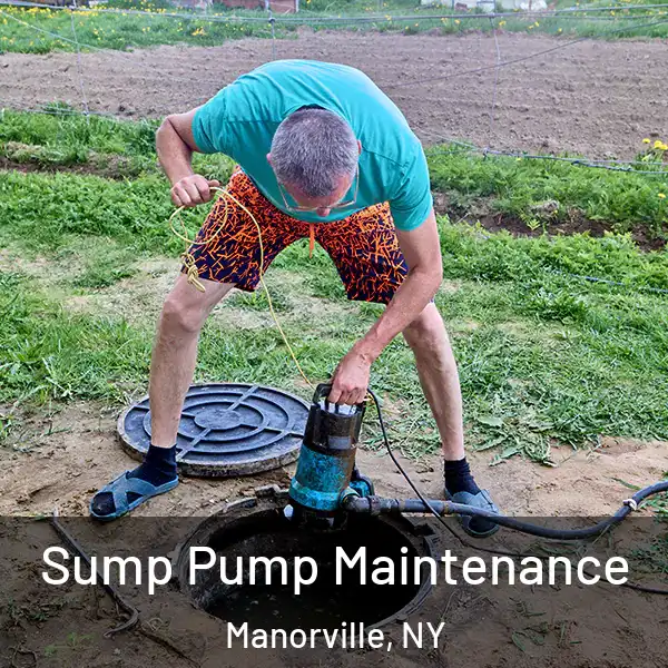  Sump Pump Maintenance Manorville, NY