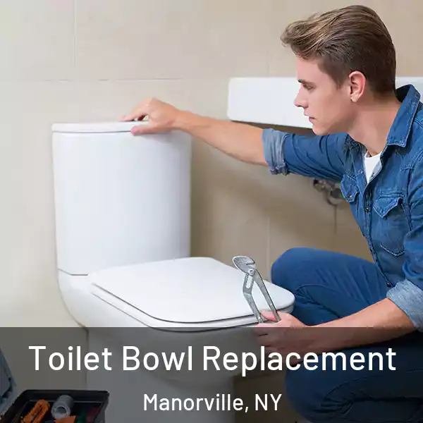  Toilet Bowl Replacement Manorville, NY